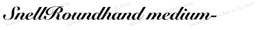SnellRoundhand medium字体转换